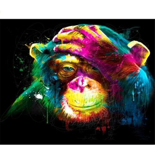 Paint by Numbers Kits for Adults DIY 40CM*50CM ALI_V1_936