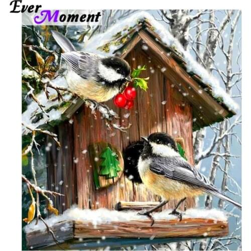 5d full diamond painting cross stitch bird lovers Christmas Snow Winter diamond embroidery crystal stone wall painting ASF735