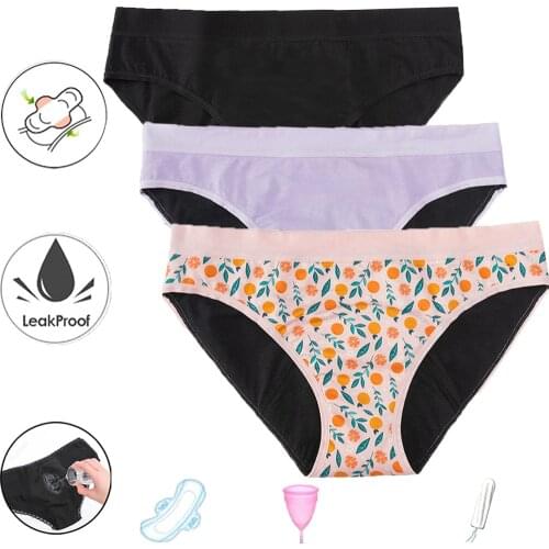 Menstrual Panties Girls Women Teen Period Panties Print 4 Layer Leakproof Menstrual Underwear Bragas Menstruales Absorbentes
