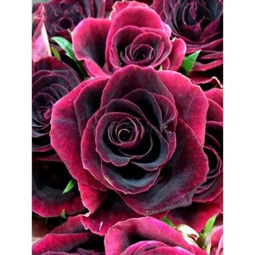 DIY 5D Full Square Diamond Painting Flowers Pictures Of Rhinestones Diamond Embroidery Mosaic Paint With Diamonds