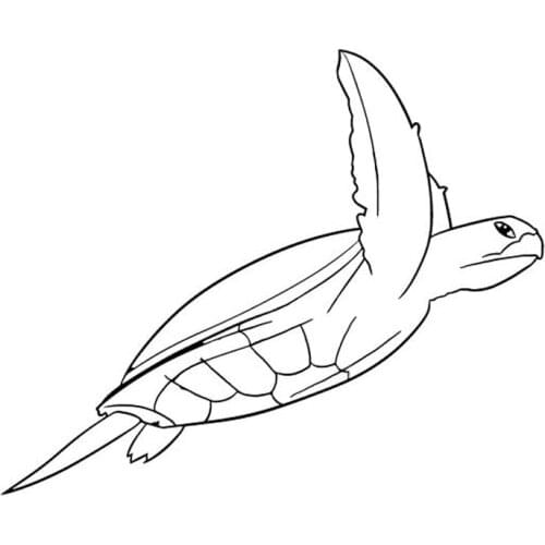 Personality Tortoise Animal Decals High Quality Car Decoration Personality Pvc Waterproof Car Window Decals Anti-UV Black/white