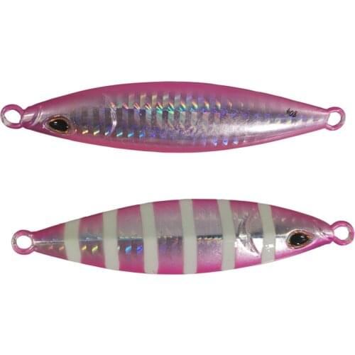 BassLegend- Saltwater Fishing Metal Jig Japan Fishing Slim 20g/40g/80G Sea Bass Lure Slow Jig