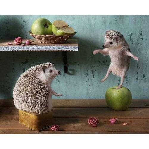 YIKEE diamond painting Hedgehog,large diy diamond painting,diamond painting full square new arrival K470