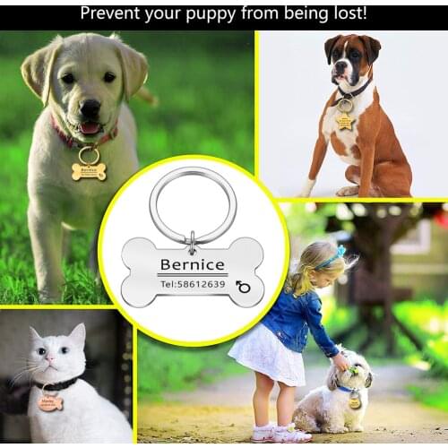 Personalized Pet Cat Dog ID Tag Collar Accessories Custom Name Engraved Phone Number Necklace Chain Charm Dog Tag Pendant