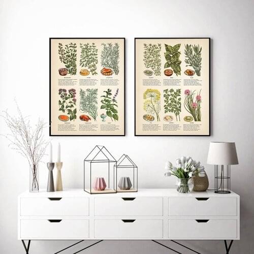 Kitchen Art Decoration Botanical Chart Wall Art Canvas Poster Prints Herbs and Spices Painting Picture Herbarium Home Wall Decor