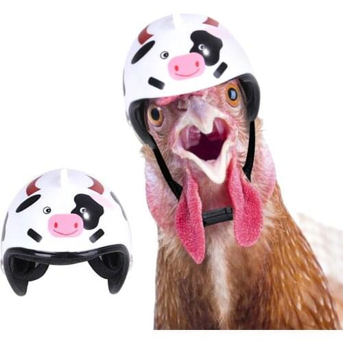 Chicken Bird Toy Head Protection Helmet Bird Hat Headwear Suitable For Parrot Other Poultry Funny Pet Safety Helmet Costumes L3