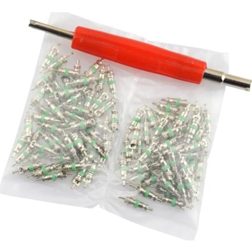 101 Pieces Valve Core Stem Cap Air Conditioner Refrigerant R12 Remover Tool