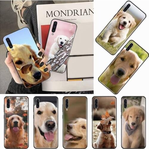 Golden retriever dog cute protective Phone Case For Samsung galaxy S 9 10 20 A 10 21 30 31 40 50 51 71 s note 20 j 4 2018 plus