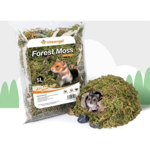 Forest Dry Moss Hamster Golden Bear Nest Bedding Clean Dust-free Natural Material Hamster Cage Landscaping Small Pet Accessories