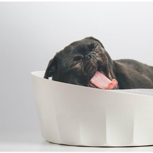 Foldable Pet Bed for Dogs Cat House Dog Beds for Large Dog Pets Products for Puppies Dog Bed Mat Lounger Bench Cat Sofa Supplies