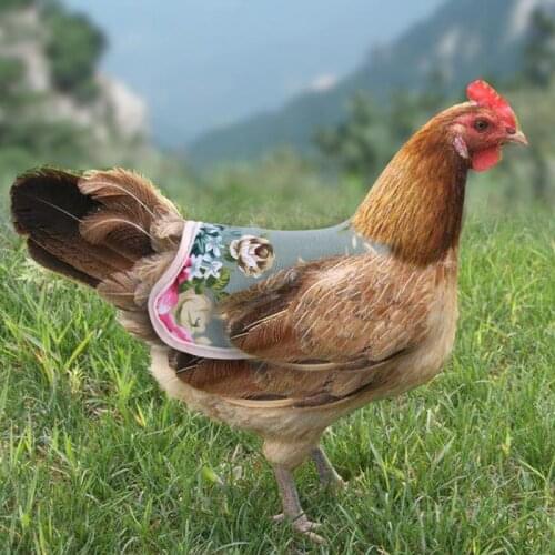 Hen Chicken Back Protector Single Strap Standard Poultry Vest Protection Pet Supplies