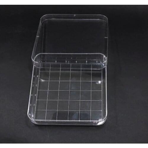 10pcs clear 10*10cm scaled square plastic petri dish with cover,culture dish