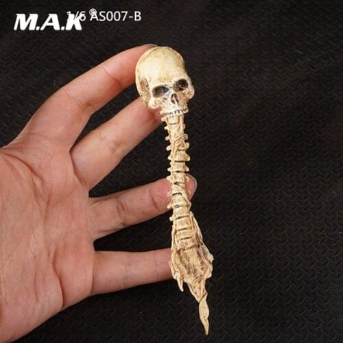 1/6 Scale Figure Scene Accessories Mud Color Zombie Alien Skull Skeleton Model for 12 inches Action Figure