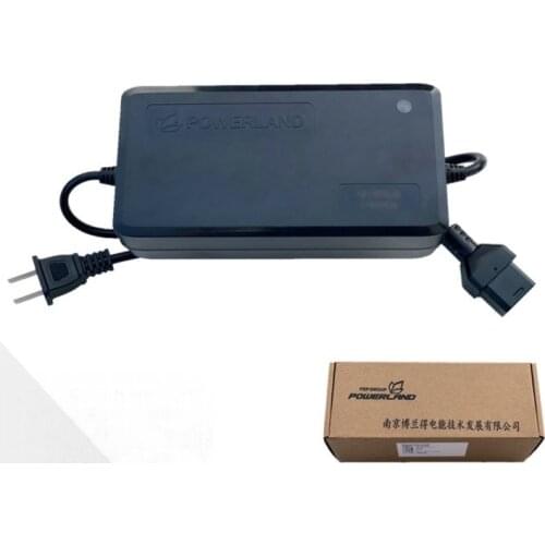 Electric Motorcycle Charger for Niu Gova G0 G1 G2 F0