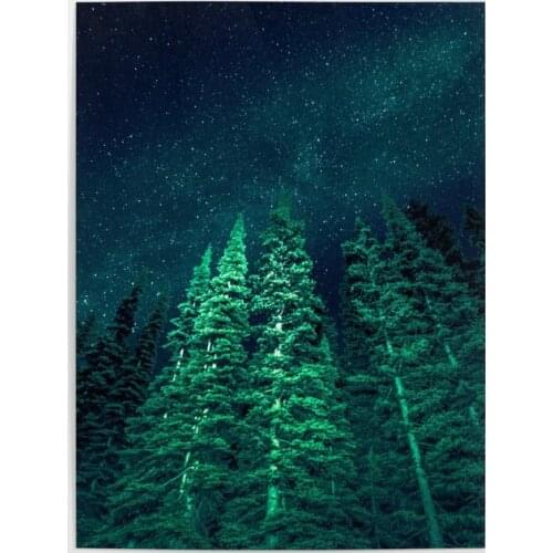 Wall Art Starry Forest Canvas Painting HD Printed Aurora Pictures Home Decoration For Living Room Modular Natural Scenery Poster