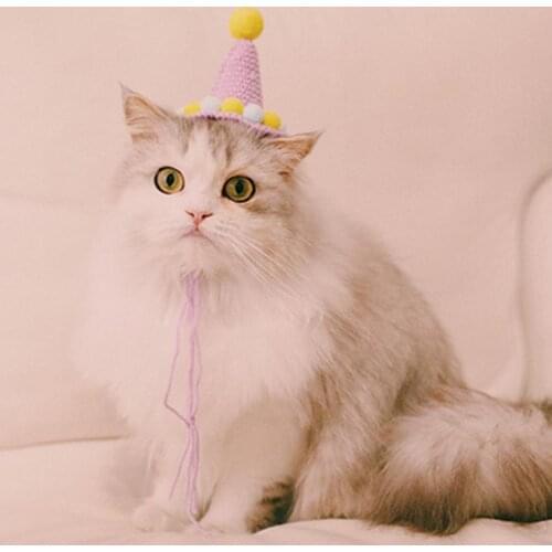 Hand-woven Pet Hat Birthday Plush Ball Cap Photography Props Cat Dog Head Decor