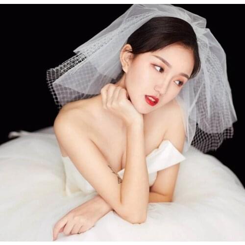 Fluffy Ivory Bridal Veil Appliques 2020 Veu De Noiva Longo Wedding Veil Lace Purfle