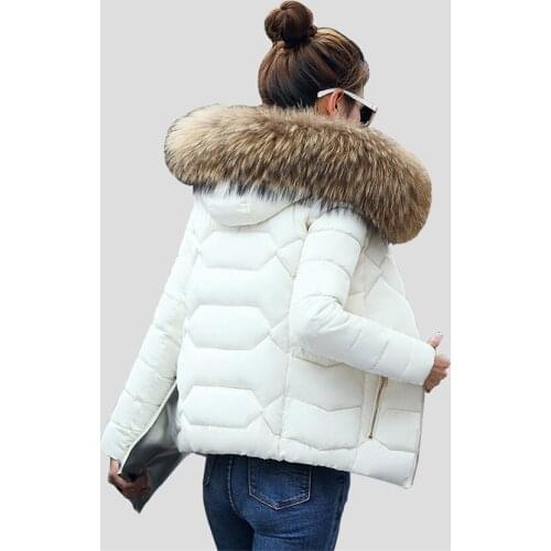 New Winter Women Down Cotton Padded Coat Warm Thick Large Faux Fur Collar Parka Coats Hooded Short Female Wadded Jackets AB669