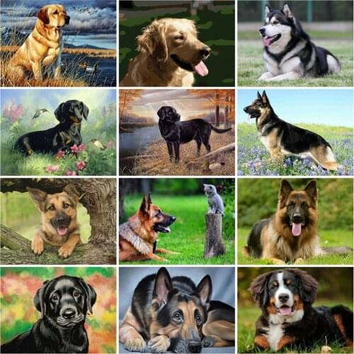 HUACAN Picture By Numbers Dog Animal Kit Drawing On Canvas Wall Art Oil Painting HandPainted DIY Home Decoration Gift