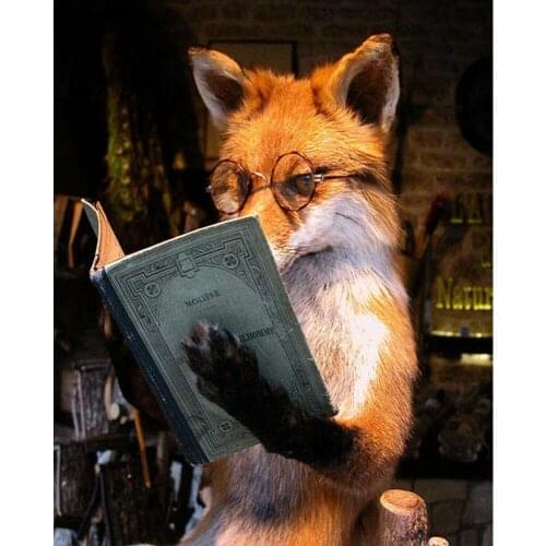 DIY Diamond Painting 100%Full Square/round Drill Mosaic Decor Painting Cross Stitch 5d Diamond Embroidery Knowledge Fox