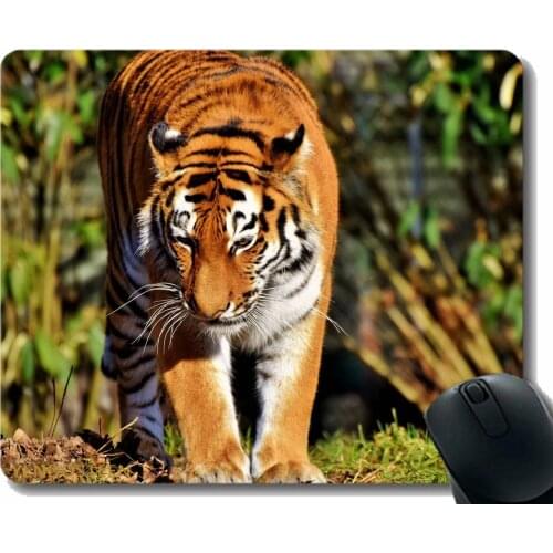 Gaming Mouse Pad Custom,Tiger Predator Big Cat Walk 120347 Mouse Pads With Stitched Edges