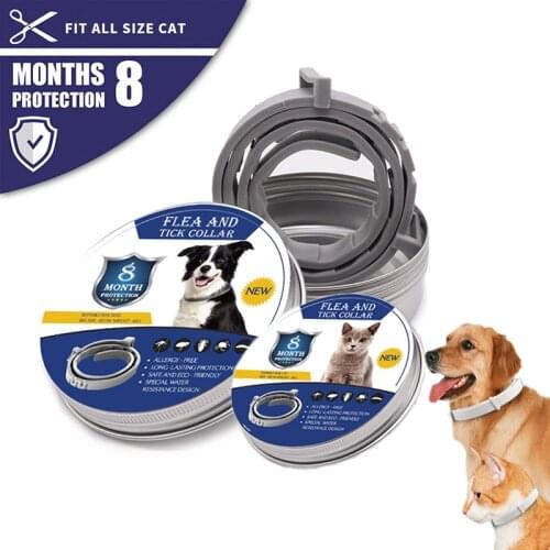 Pet Dog Cat Anti Fleas Ticks Collar Safe Eco-Friendly Adjustable For Cat Dog Repellent Insect Control Outdoor 8 Month Protective