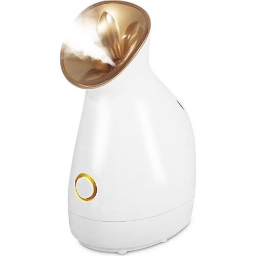 Facial Steamer Electronic Vaporizer Nano Mister Face Sprayer Facial Cleaning Sauna Spa Beauty Skin Care Face Steamer Machine