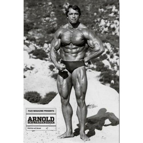 Arnold Schwarzenagger Bodybuilding Art Film Print Silk Poster Home Wall Decor 24x36inch