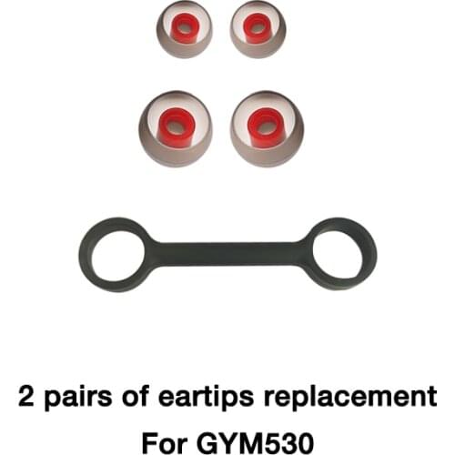 Earphone Accessories