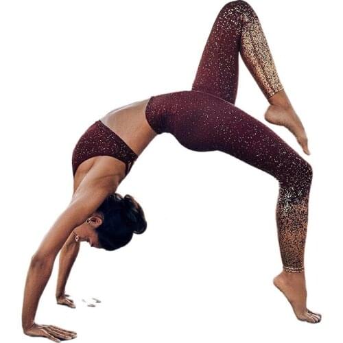 Women Yoga Pants Push Up Seamless Sport Leggings Gym Workout Trainning Tights Activewear Running Activewear Pants High Stretchy