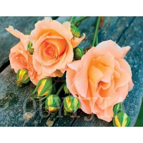 OUYIJIA Flower Diamond Embroidery 5D DIY Diamond Painting Full Square Lion Rhinestone Mosaic Cross Stitch Home Decoration