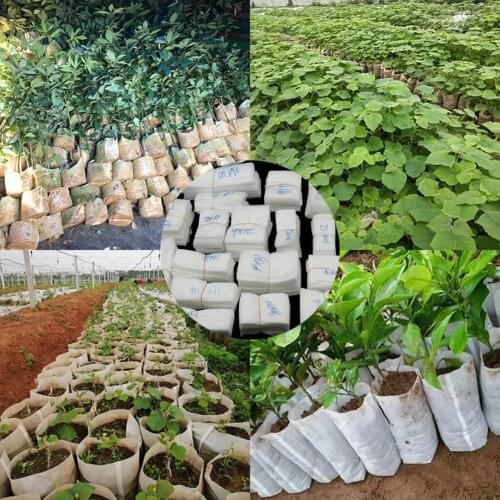 100Pcs/Set Degradable Plant Nursery Bags Seeds Growing Container Garden Tool