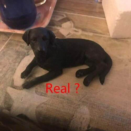 Labrador Dog Simulated Animal Model Collection Vehicle Handicrafts Figurines Miniatures Gifts Home Decoration Craft Accessories