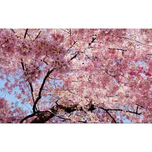 Custom photo wallpaper Large 3D Stereo romantic Pink flower 3d room wallpaper landscape Home Decoration