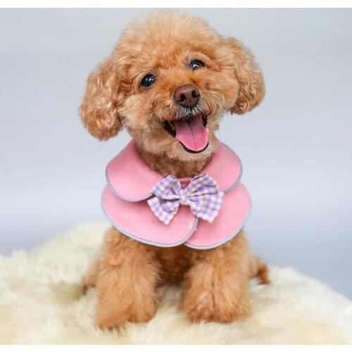 Cat Dog Clothes Breathable Machine Washable Winter Decor Clothes Inood Outdoor Travel Pink/Green 3Sizes