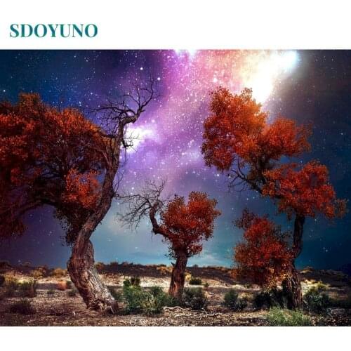SDOYUNO DIY Acrylic Painting By Numbers Kits Scenery 60x75cm Pictures By Numbers Aurora Tree Frame Digital Hand Painting On Canv