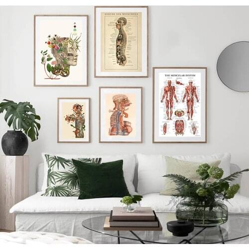 Human Anatomy Muscle System Poster Art Print Human Body Picture Medical Education Home Decoration Painting canvas painting M216