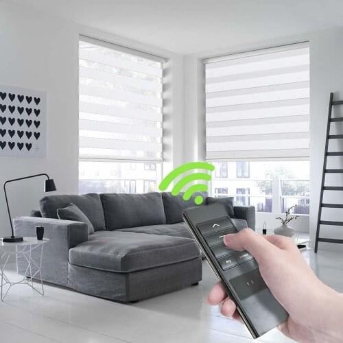 Remote Control Automatic Motorized Zebra Blinds Electric Window Roller Shades Blind for Windows Curtains