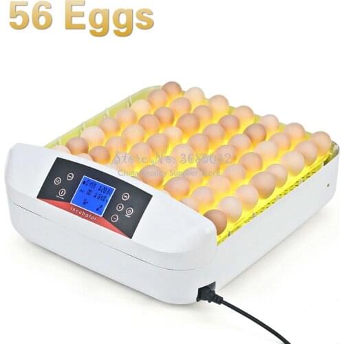 Full-automatic Egg Incubator Intelligent Hatcher 56 Eggs Hatching Machine for Chicken Duck Transparent Plastic with Egg Tester