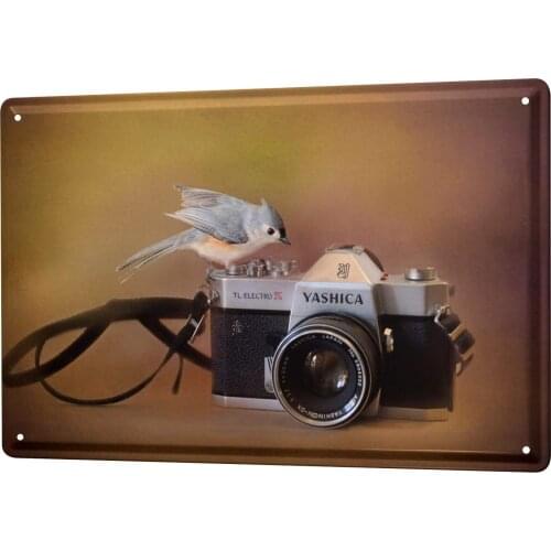 SINCE 2004 Metal Plate Technique Camera