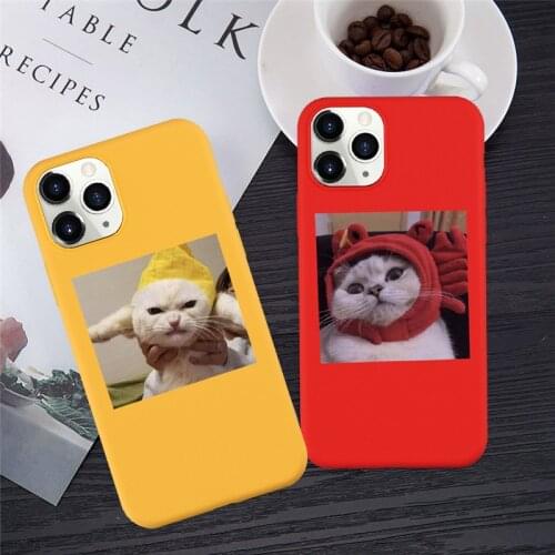 JAMULAR Cartoon Cat Animal Phone Case For iPhone 12 11 Pro X XS MAX SE20 XR 7 8 6Plus Candy Color Soft Silicon Cover Matte Coque