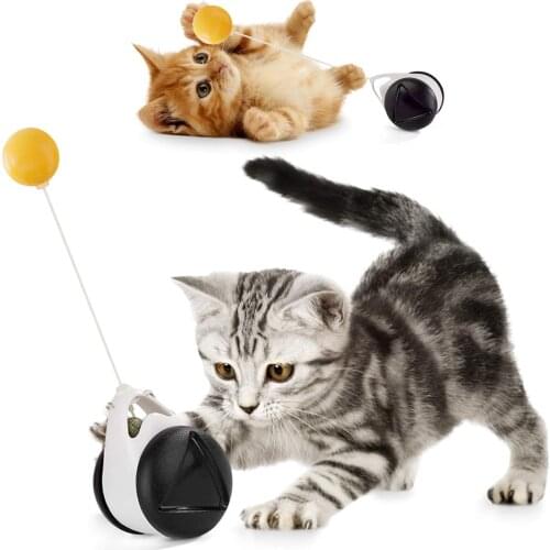 Funny cat interactive toy cat tumbler swing toy rotating mode balance car cat chasing toy pet products