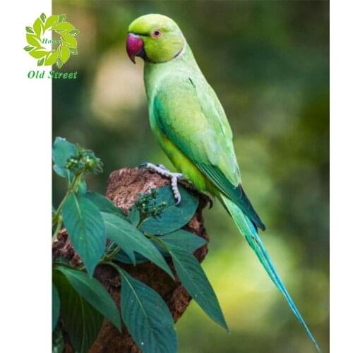 OSH DIY Full Square/Pebble Round Drill 5D DIY Diamond Painting "Animal" 3D Embroidery Cross Stitch 5D Home Decoration