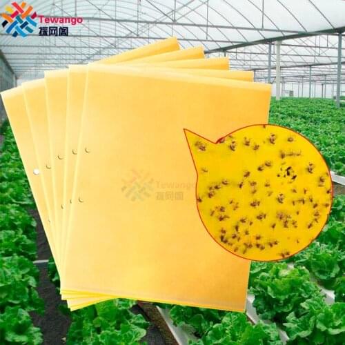 Double-sided Insect Board Armyworm Sticker 20Pcs/Lot Greenhouse Orchard Garden Pest Control Trap Flying Insects Fruit Bat Killer