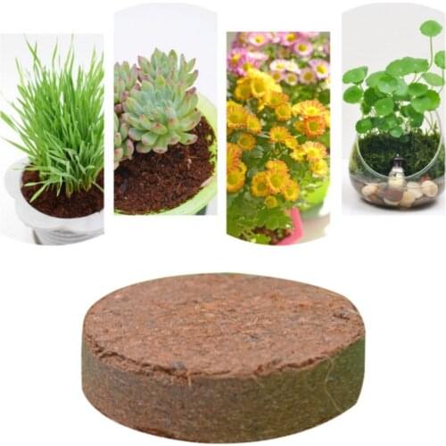 Reptile Terrariums Fish Tank Supply Natural Coconut Fiber Substrate Bricks Soil Essentials