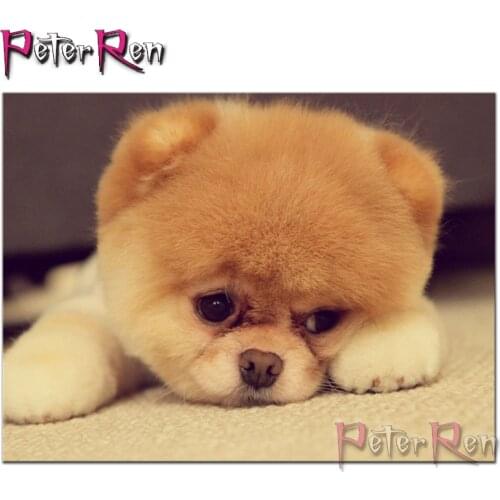 Square/Round Diamond Painting German Spitz Pet dog 5d Full Diamont Mosaic Picture of Rhinestones Animal Diamond Embroidery puppy