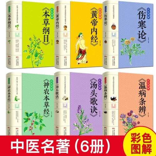 TCM Books Introduction Basic Theory Health Prescription Recipe Books Tangtou Gejue Color Picture Vernacular version