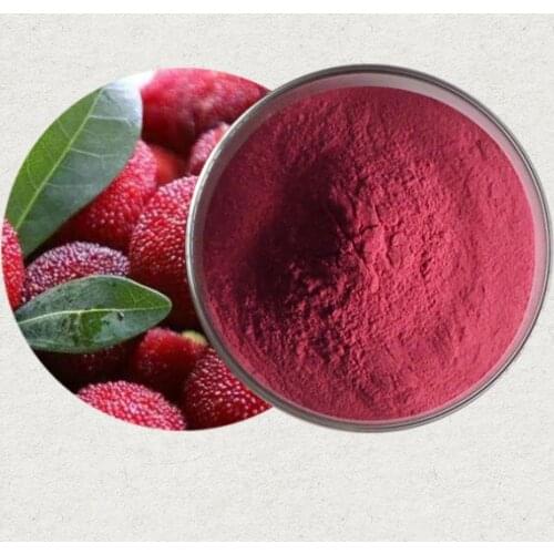 Organic Bayberry Berry Juice Powder