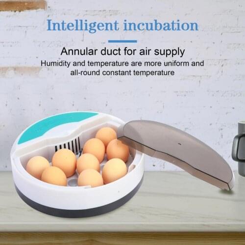YZ-9 Mini Egg Hatcher 9 Eggs Automatic Mini Digital Chicken Brooder US/EU/UK/AU Plug Digital Poultry Incubators Eggs Brooder