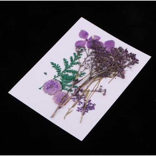 1 Bag Natural Real Pressed Dried Flowers Leaves Scrapbooking Embellishments DIY Arts Crafts